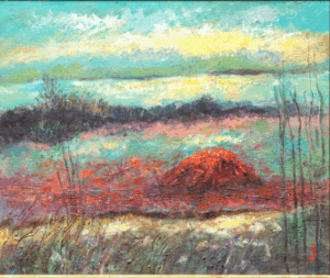 Red Algae Illuminated