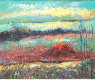 Red Algae Illuminated