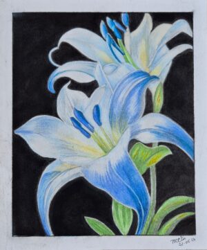 Blue Lily