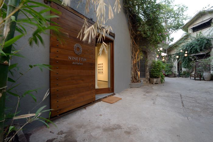 Nine Fish Art Gallery